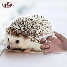 10-Piece 0.08 x 0.47 in RFID Glass Chips for Pet Identification Microchips