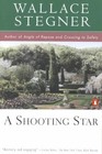 A Shooting Star by Wallace Stegner (Paperback, 1996)