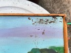 Original Painting 15 1/2". x 14" — photo 3