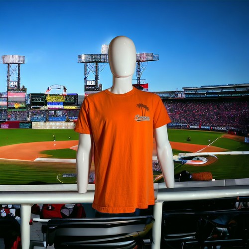 Baltimore Orioles Men's T-Shirt Spring Training MLB New Era Large Graphic Tee