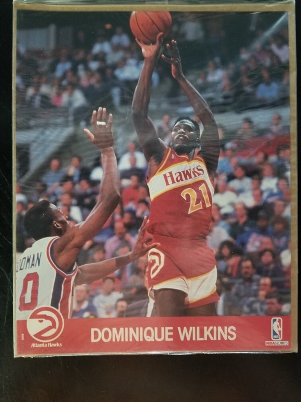 Hoops 8 x 10 Picture Dominique Wilkins