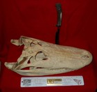 BCS SCHOPP MONTANA " GATOR HUNTER SKULL  "  SNAKE  LOGO  CUSTOM KNIFE — photo 6