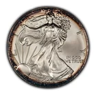 2004 1 oz Silver American Eagle - Violet Rim Toning - BU - SKU-E3300
