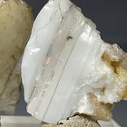 SS Rocks - 2 Fire Opal (Virgin Valley, Humboldt Co, Nevada) 12.8g — photo 4