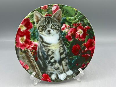 Crestley Collection Lady in Waiting Kitten Kapers Katzenteller (763)