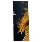 Bild 7 von 9