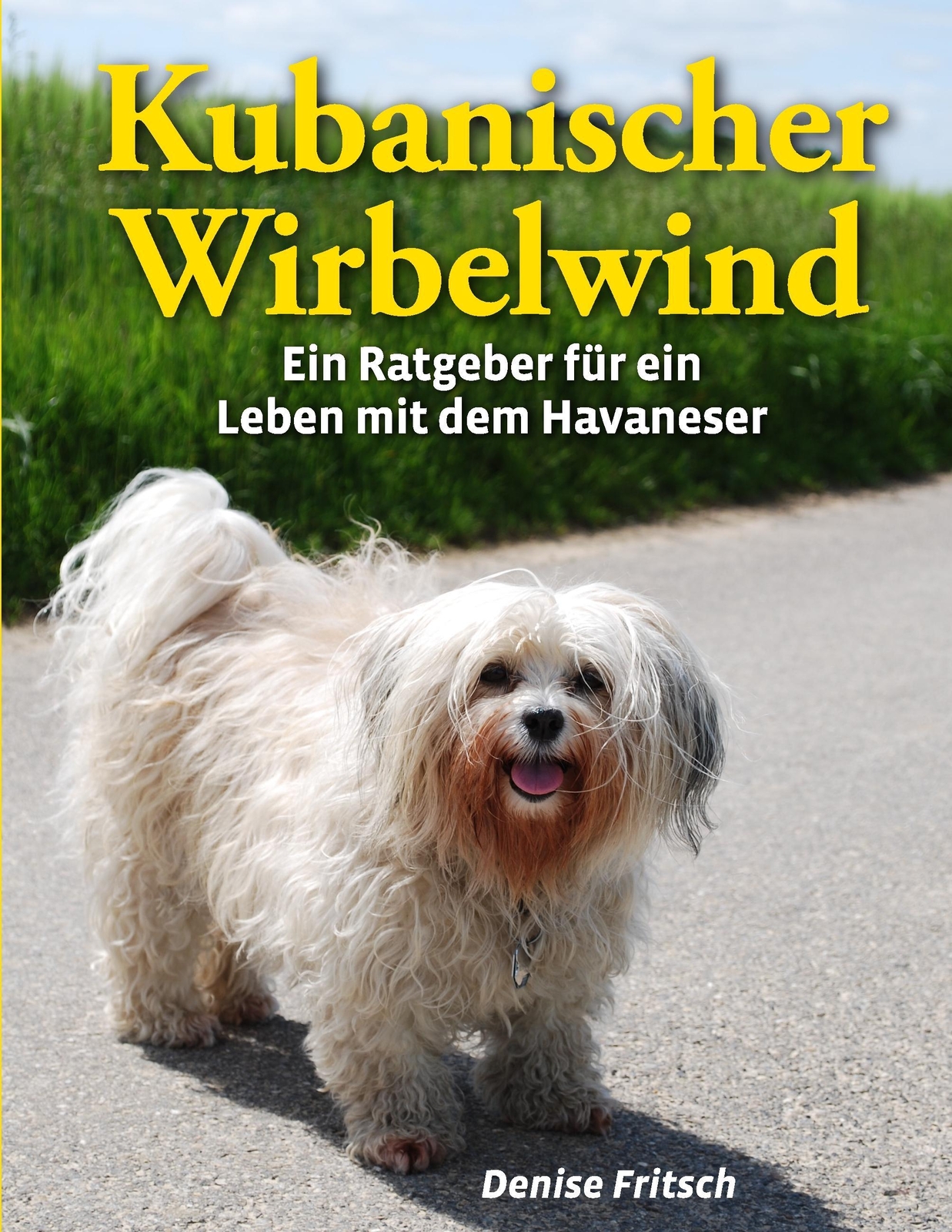 Thumbnail - Kubanischer Wirbelwind Denise Fritsch