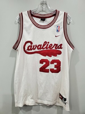 lebron james throwback jersey
