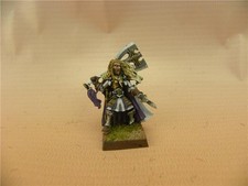 Warhammer painted Korhil