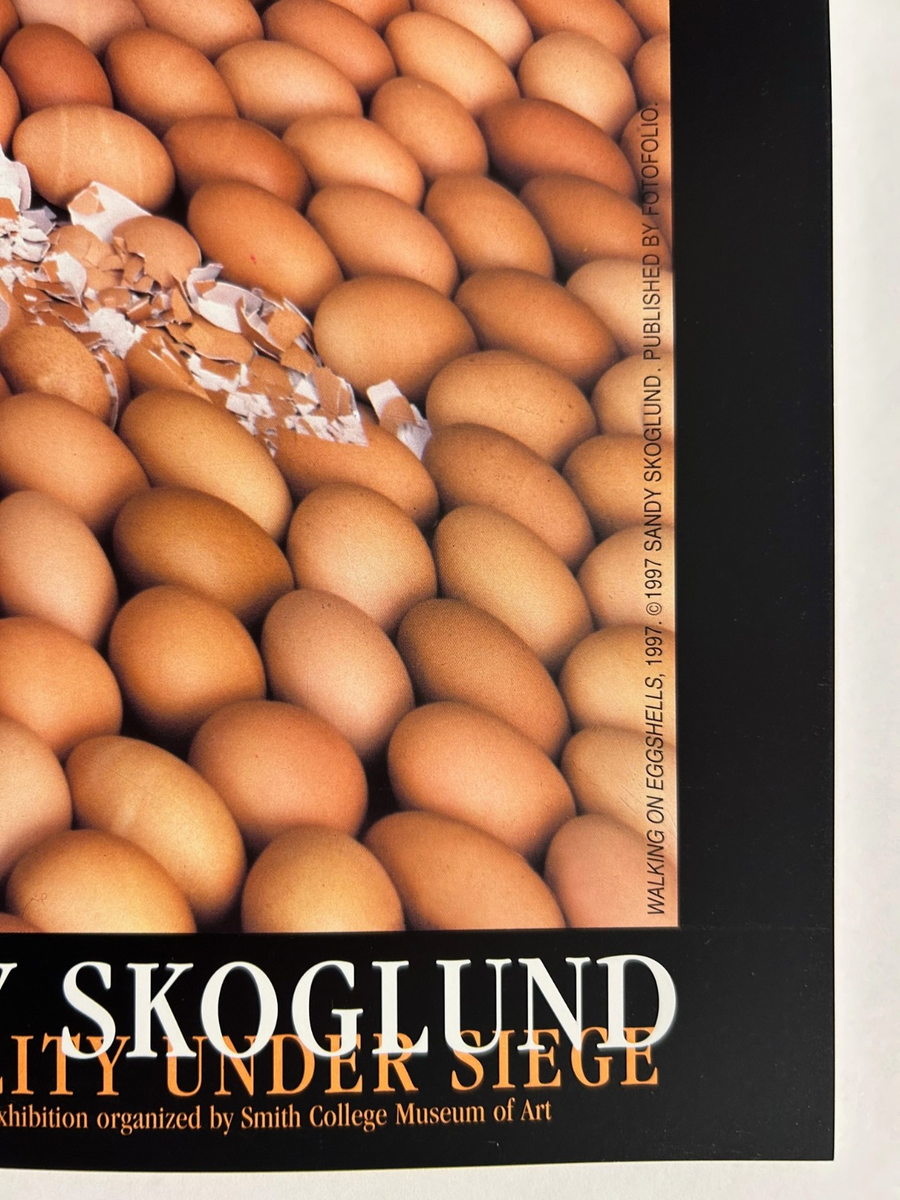 Walking On Eggshells、 1997年/スコグランド/ポスター Walking On Eggshells, 1997 by Sandy Skoglund Rare Exhibition