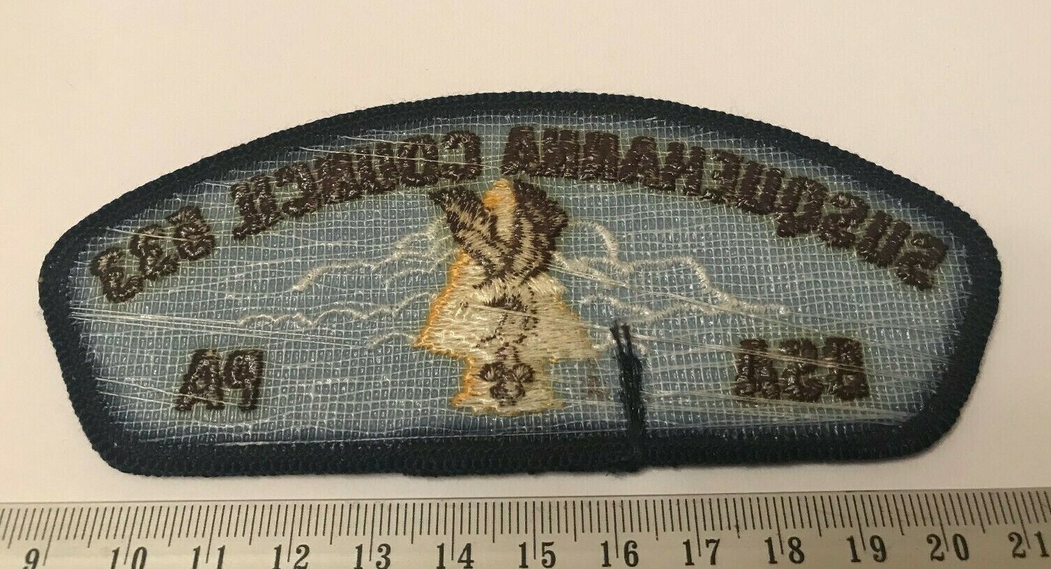 Susquehanna Council T11 Pennsylvania Eagle & Arrowhead CSP Boy Scouts