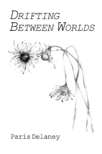 Пэрис Делани Дрейф между мирами (в мягкой обложке) (ИМПОРТ из Великобритании)