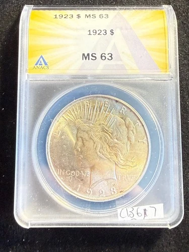 GORGEOUS Toning 1923 $1 Silver Peace Dollar MS 63 ANACS ESTATE US Coin cb617