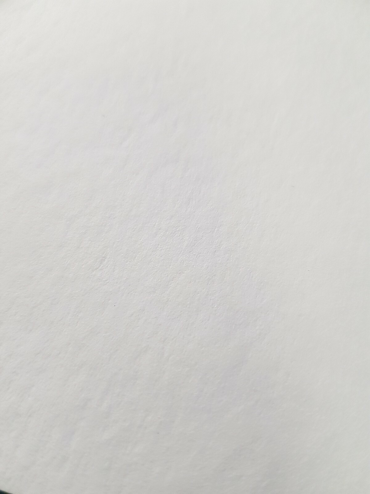 Picture 12 of 12