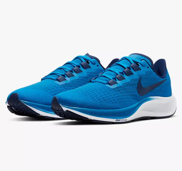 pegasus 37 blue