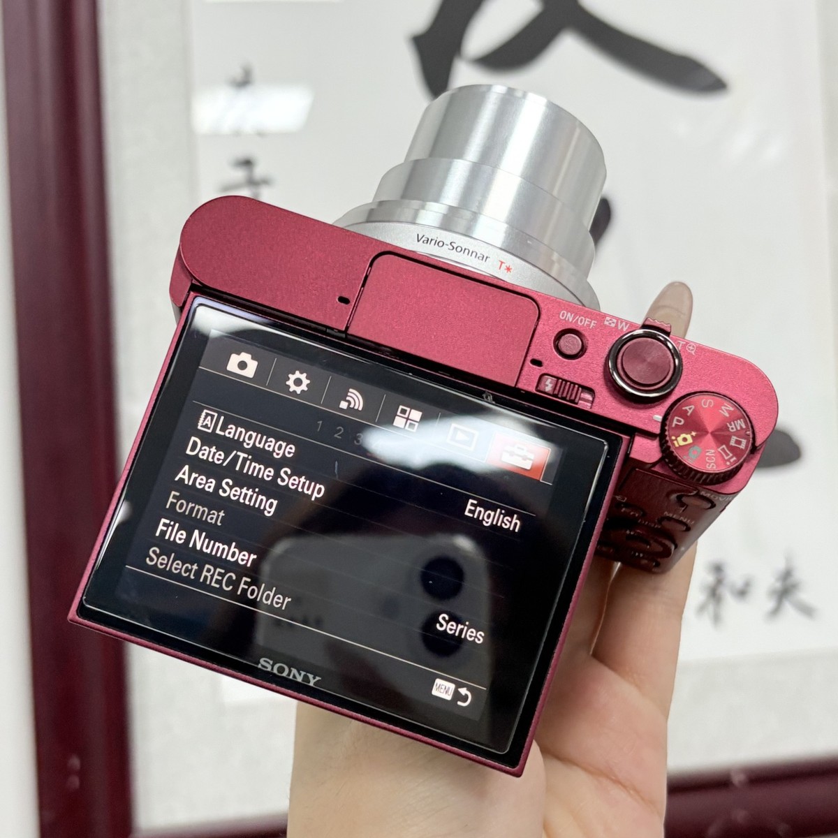 Sony Cyber-shot DSC-WX500 Camera - 30x ZEISS Zoom, 180° Flip