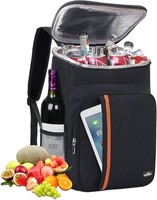 KüHlrucksack 23L Thermo Isoliert FüR Picknick Strand Wandern FamilienausflüGe