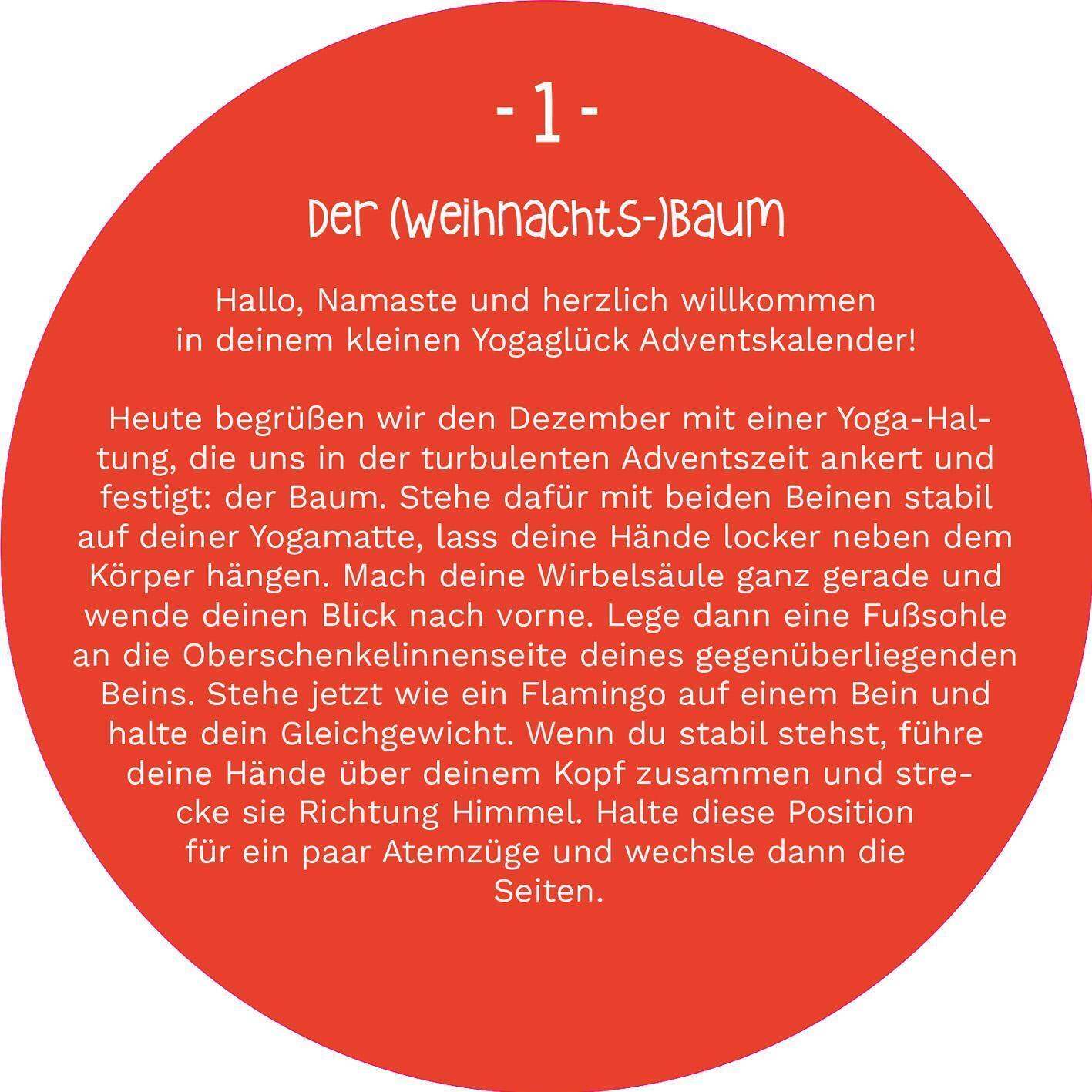 Thumbnail - Karolin Ohrnberger | Adventskalender In Der Dose. 24 Tage Yogaglück |