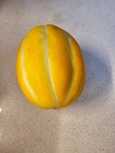 Yellow ,Golden Giant Korean Melon Seeds | Hybrid Chamoe Honeydew Seed 25 SEEDS