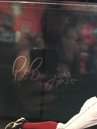 Peter Bourjos Signed Los Angeles Angels 8x10 Photo PSA - Picture 2 of 5