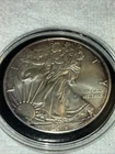 2019 American Eagle Ungraded Walking Liberty Bullion-0.999 Silver 1 Oz.