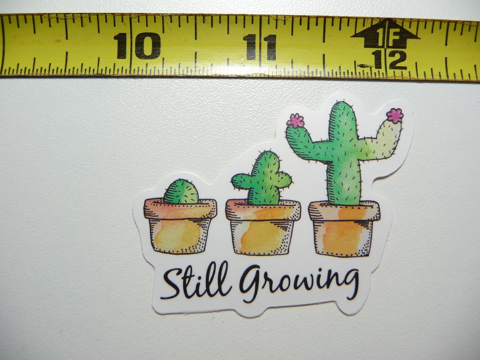 Still Growing Cacti Decal Sticker for Motivation and Positive Attitude