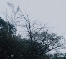 Sadness - Rain CASSETTE