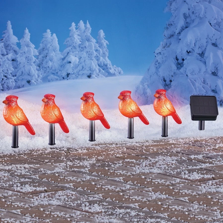 Cardinal on sale solar light