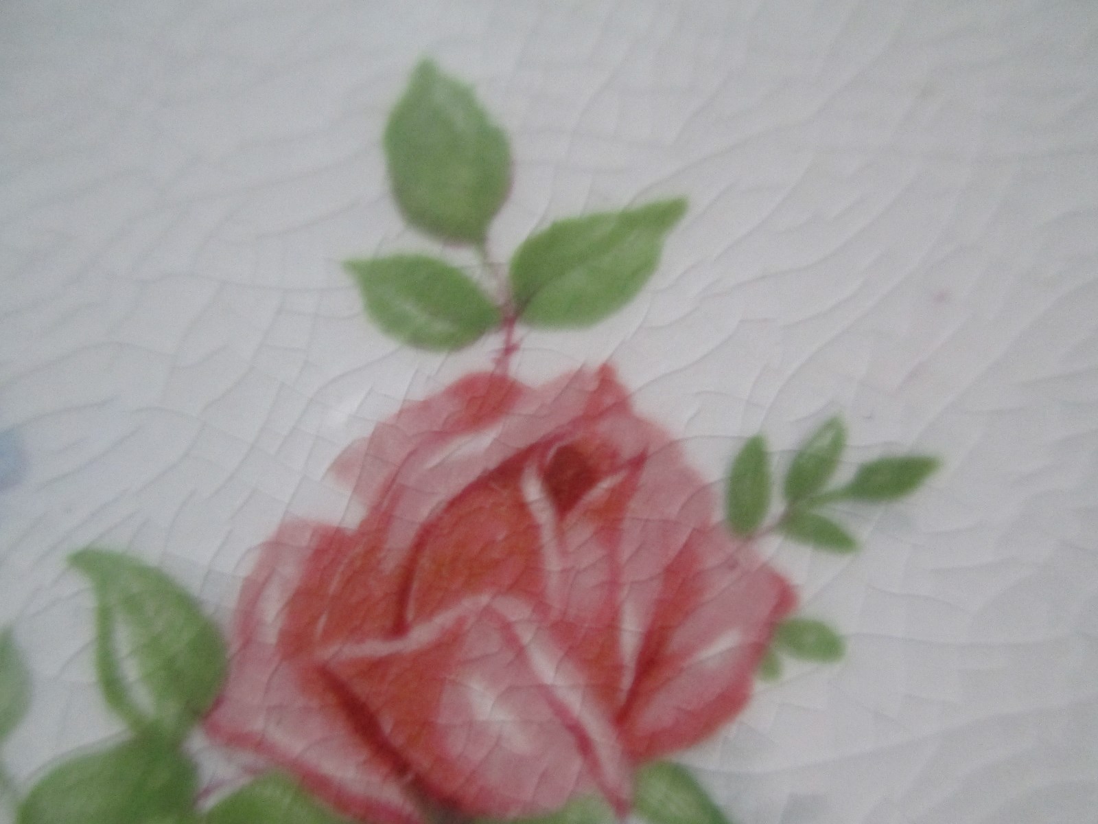 Picture 7 of 12