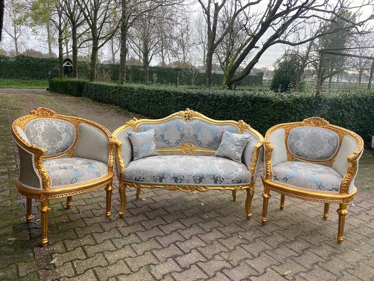 Exquisite Corbeille Sofa Set French Louis XVI Style 1900