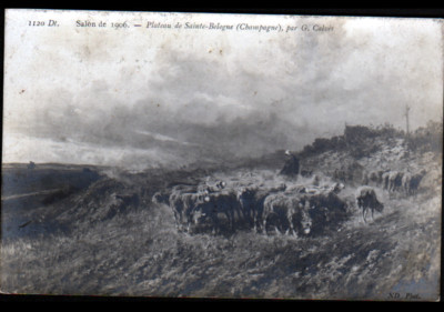 KUNST MALEREI / TRANSHUMANZ SCHAF auf TABLETT von SAINTE-BOLOGNA von G. CALVES