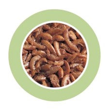 Mangime Per Tartarughe D'Acqua - Gamberetti Essiccati 250g, Nutriente E Completo, Scadenza 2026 - Foto 4