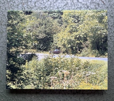 In Almost Every Picture #2 Fotobuch 2003 Erik Kessels & Andrea Stultiens