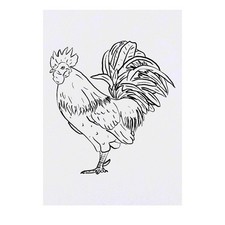 'Rooster' Temporary Tattoos / Transfers TO00033122 