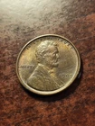 1909 VDB Lincoln Copper Wheat Cent, uncirculated Philadelphia     inv04    p216