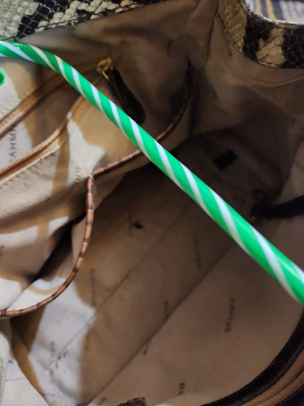 Brahmin Python Purse - image 6