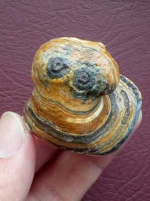 53g rare Natural Gobi eye stone lovely collection