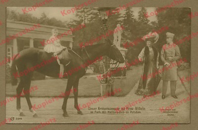 Prz. Wilhelm Horse Cecilie Crown Prince Hohenzollern Nobility Marble Palace Potsdam 1908
