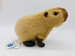 capybara doll