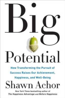 Big Potential: How Transforming the Pursuit of Success Raises Our A - ACCEPTABLE
