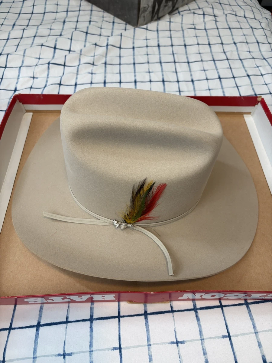 Stetson Beaver Hats for Men for sale | eBay