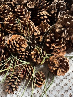 150 count,Pine Cones, Red Pine,2-2.5 inches