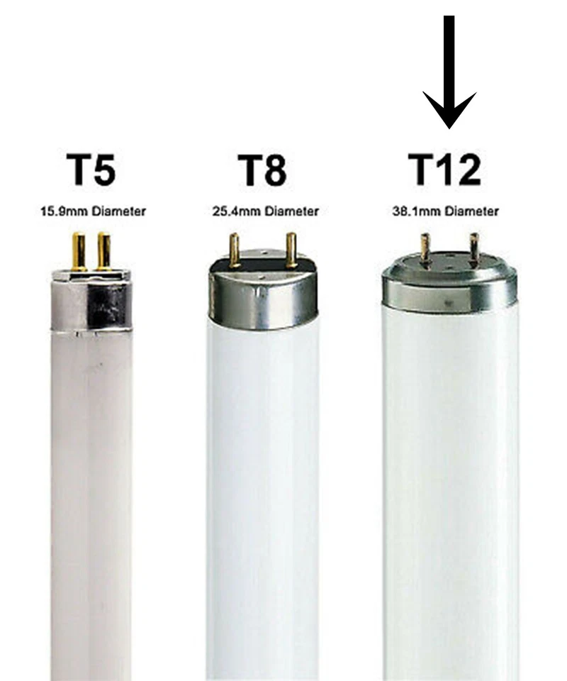 2 x 20W T12 Rapid Start Fluorescent Tubes 4000K Cool White 600mm TL 20W/33 - Image 2 of 4