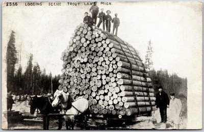 Logging Trout Lake Michigan Brag Load Horse Drawn Carriage RPPC Photo Postcard