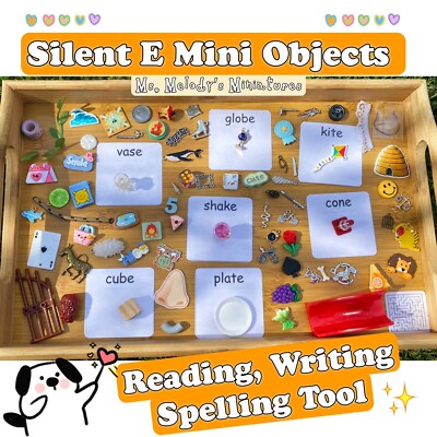 Silent E Magic E Miniature Objects Writing Reading Spelling Tool Teacher Aid SLP