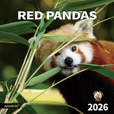 2026 Wall Calendar Red Pandas Nov 2025–Dec 2026, 12" x 24" Cute Animals