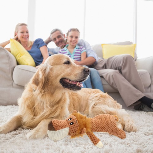 Jouets Interactif Pour Chien À Mâcher Animaux De vendu Compagnie Bébé