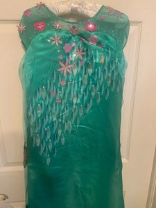 chasing fireflies elsa dress