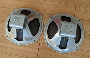 10 inch cts alnico speakers