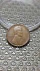 1921 S Lincoln Wheat Cent Penny Choice VF                                   D243